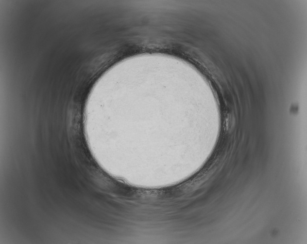 X0000116601251201001081142