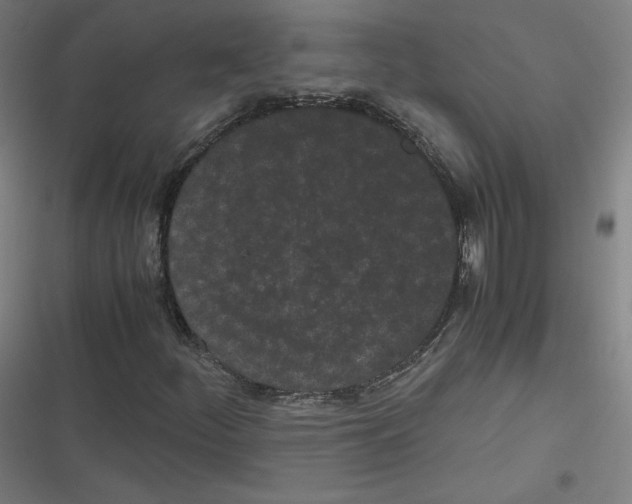 X0000116601252201001081142