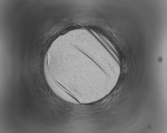 X0000116601253201001081142