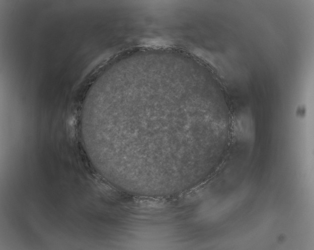 X0000116601254201001081142