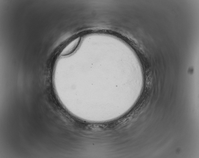 X0000116601255201001081142