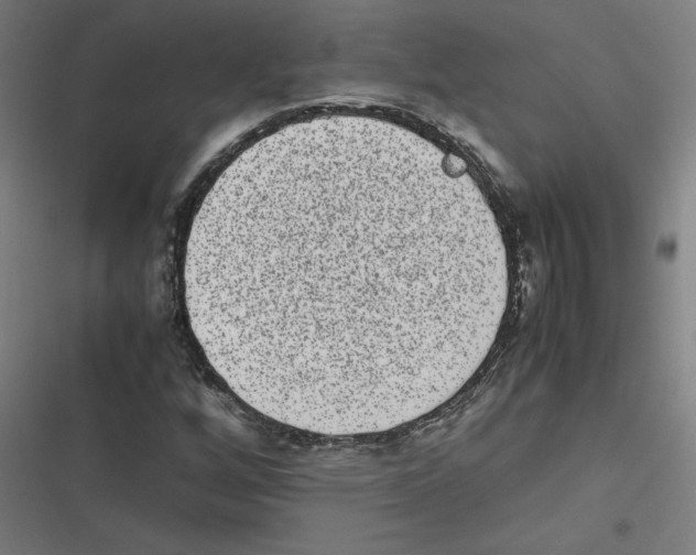 X0000116601256201001081142