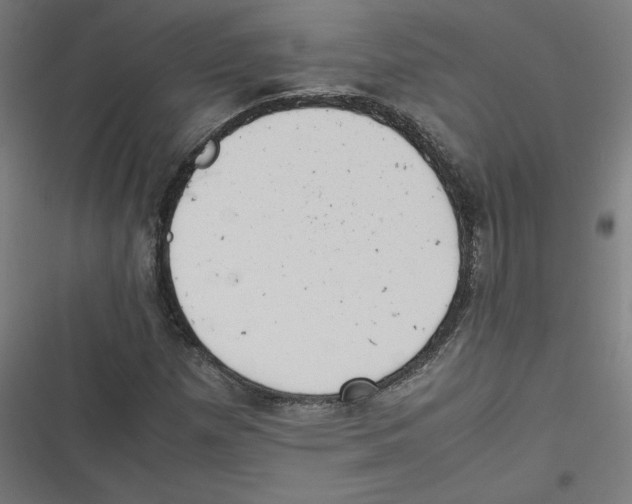 X0000116601257201001081142