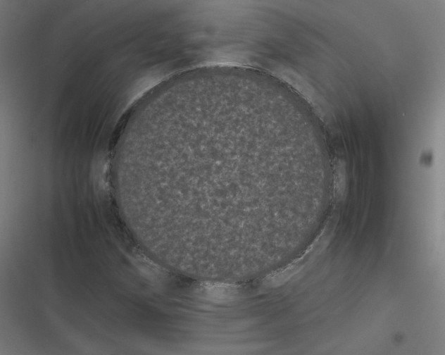 X0000116601258201001081142