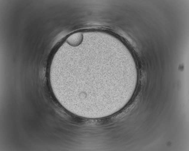 X0000116601259201001081142