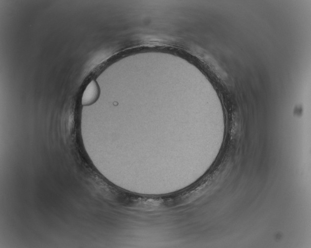 X0000116601261201001081142