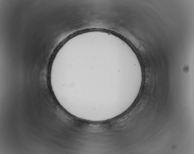 X0000116601264201001081142