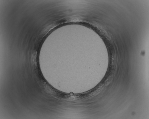 X0000116601265201001081142