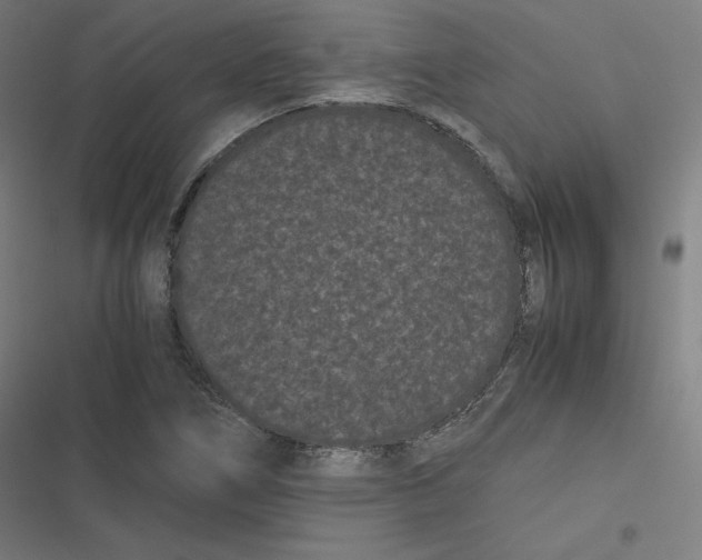 X0000116601266201001081142