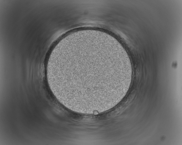X0000116601267201001081142