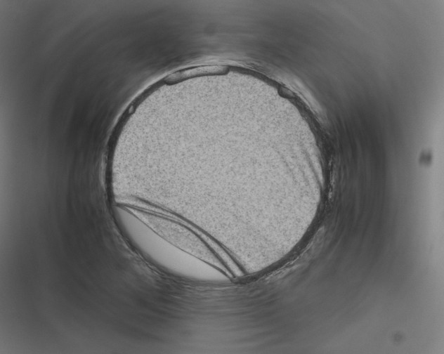 X0000116601268201001081142
