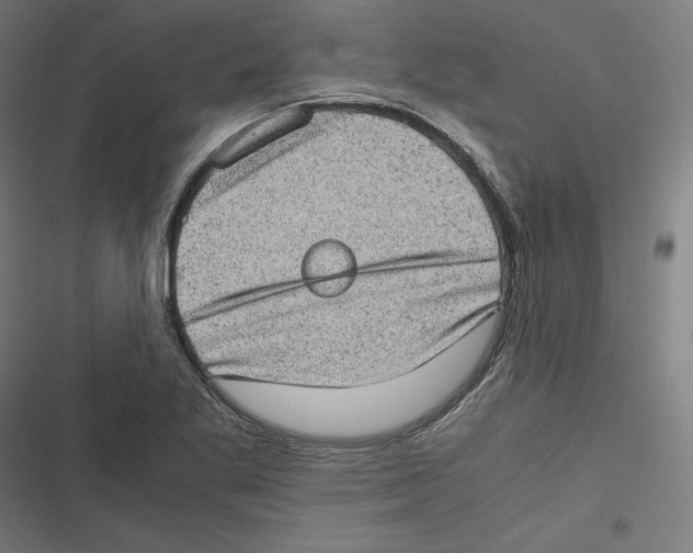 X0000116601269201001081142