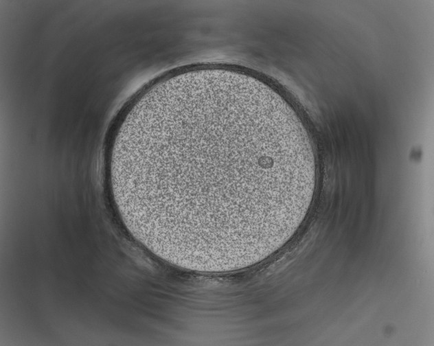 X0000116601270201001081142