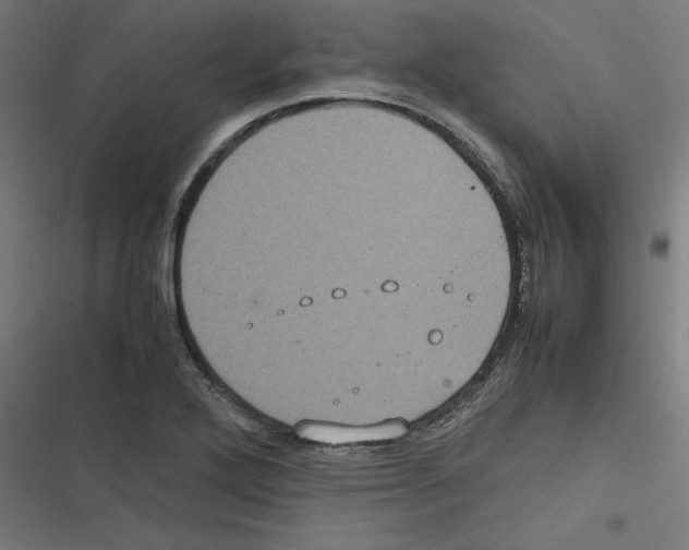 X0000116601272201001081142