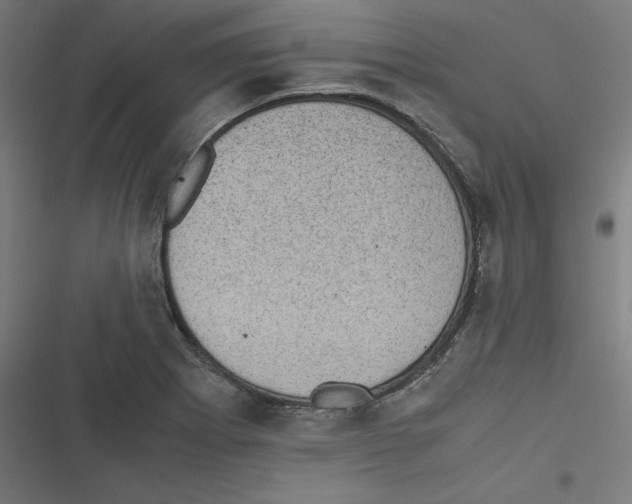 X0000116601273201001081142