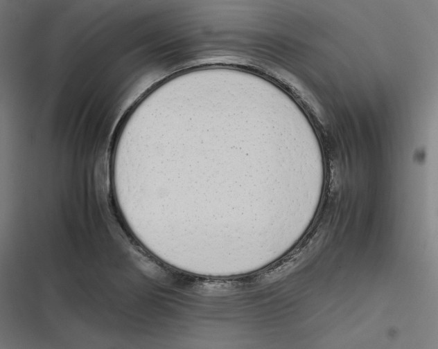 X0000116601274201001081142