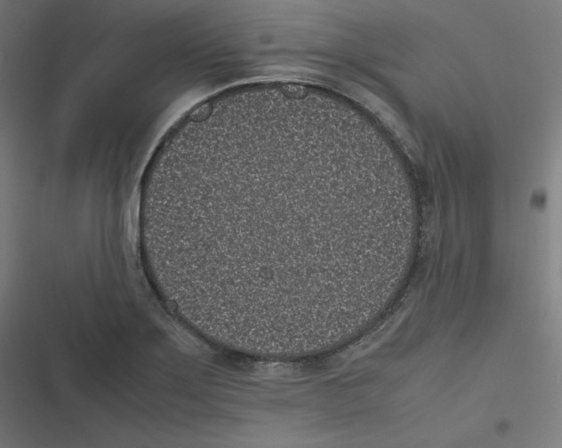 X0000116601275201001081142