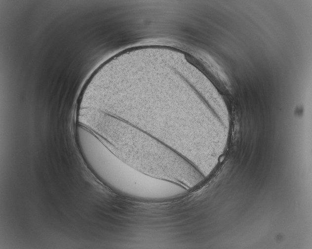X0000116601276201001081142