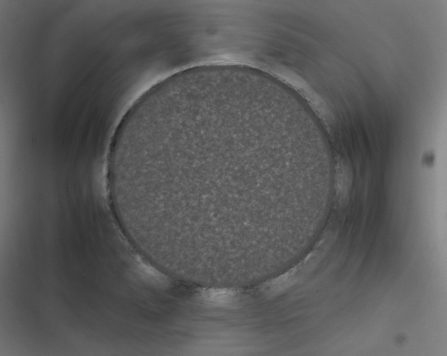 X0000116601278201001081142