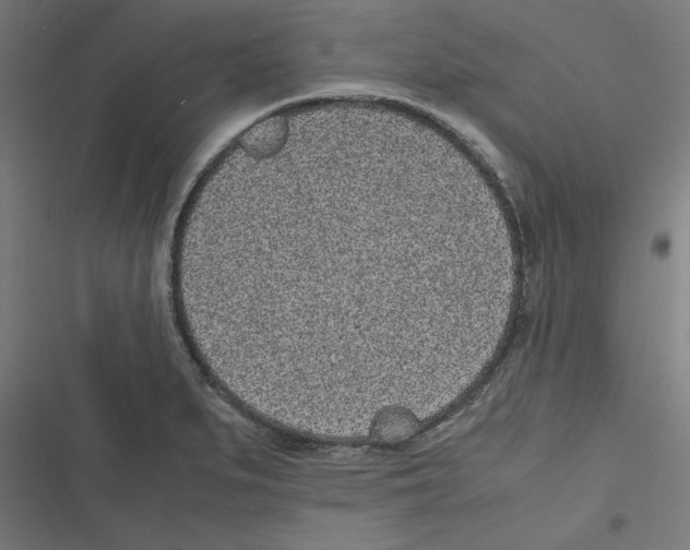 X0000116601279201001081142