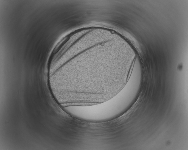 X0000116601280201001081142
