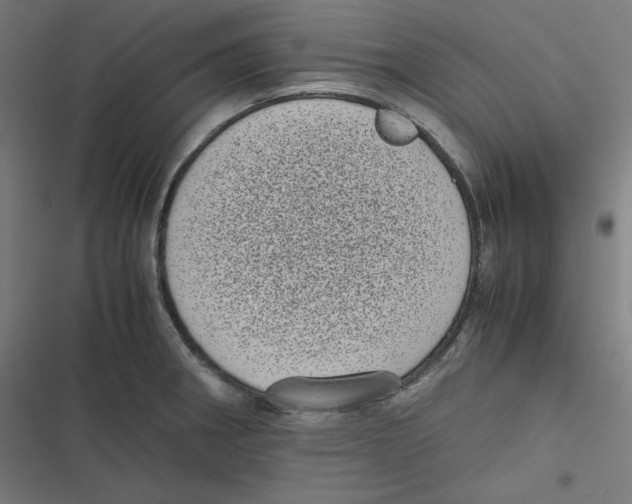 X0000116601282201001081142