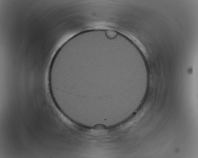 X0000116601285201001081142