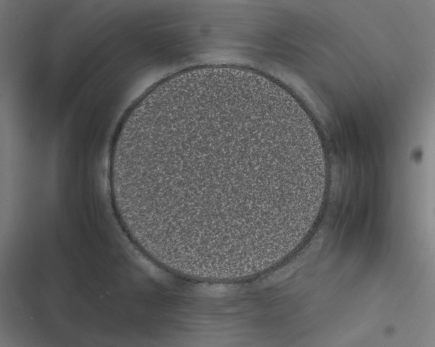 X0000116601286201001081142