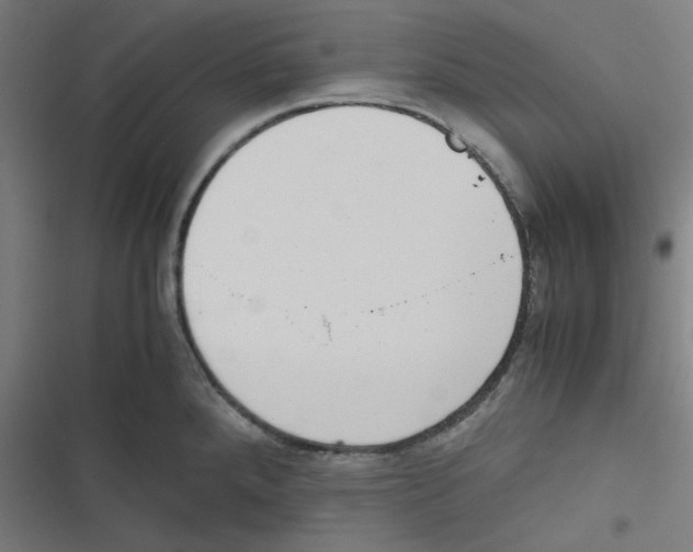 X0000116601288201001081142