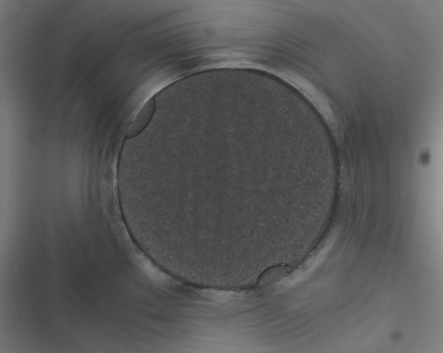 X0000116601289201001081142
