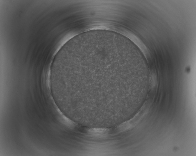 X0000116601290201001081142