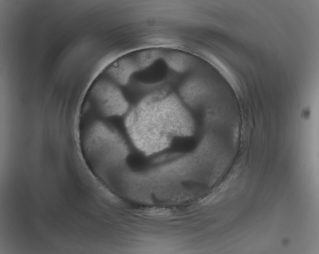 X0000116601291201001081142