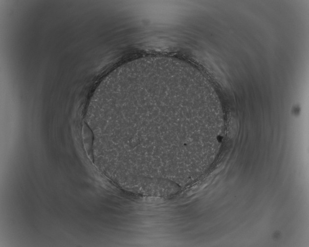X0000116601297201001081141