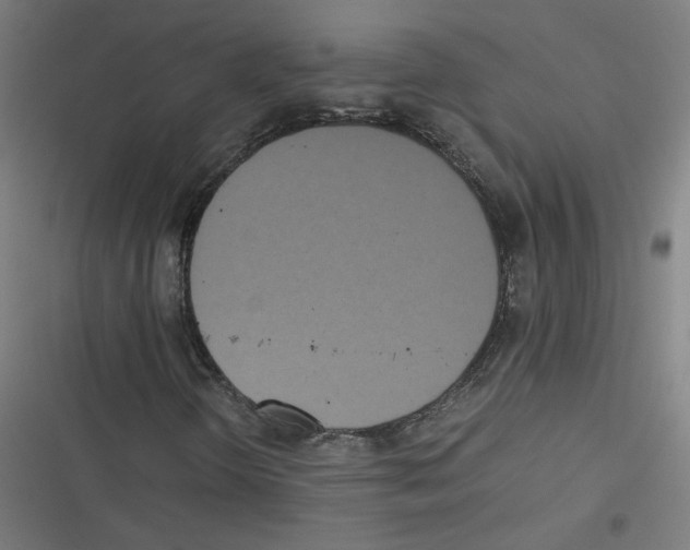 X0000116601298201001081141
