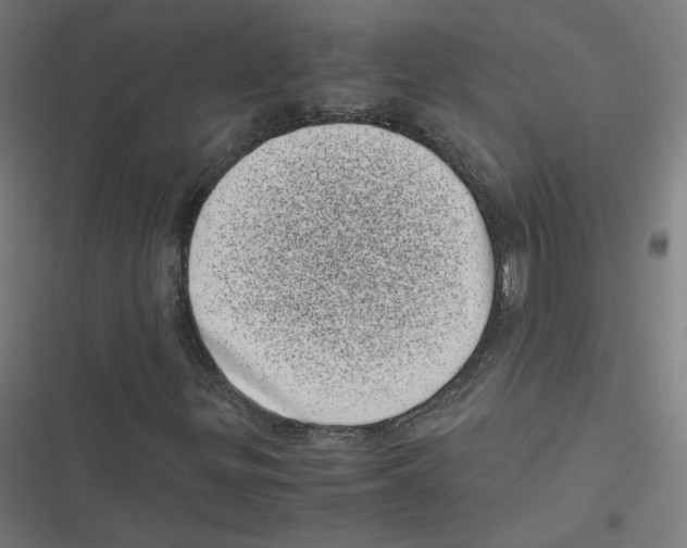 X0000116601299201001081141