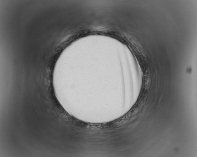 X0000116601301201001081141