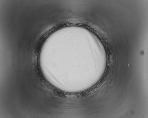 X0000116601302201001081141