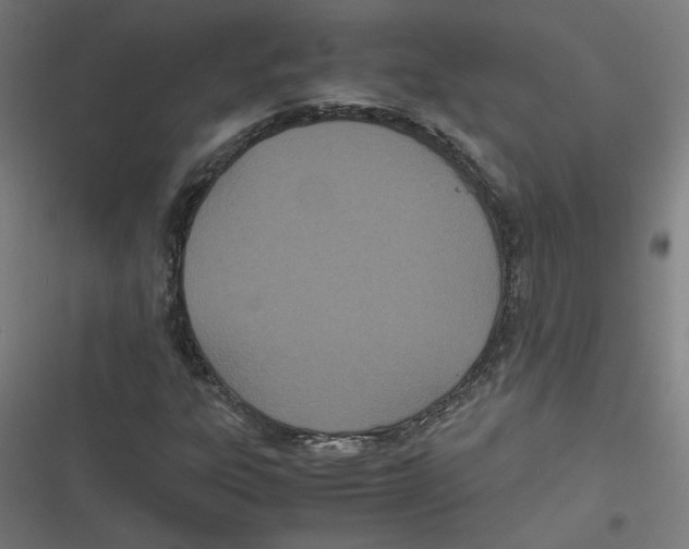 X0000116601303201001081141