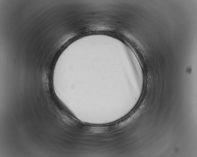 X0000116601305201001081141
