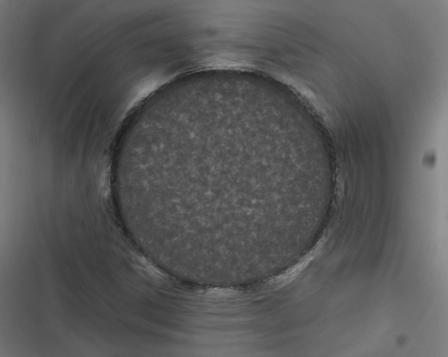X0000116601306201001081141