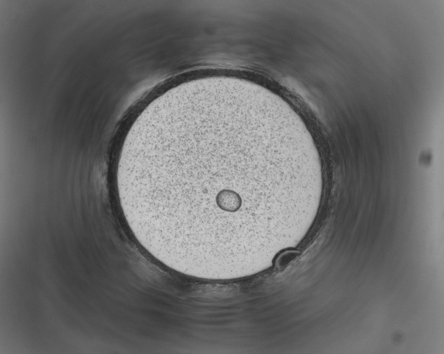 X0000116601307201001081141