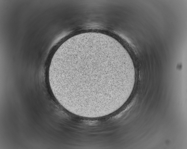 X0000116601309201001081141