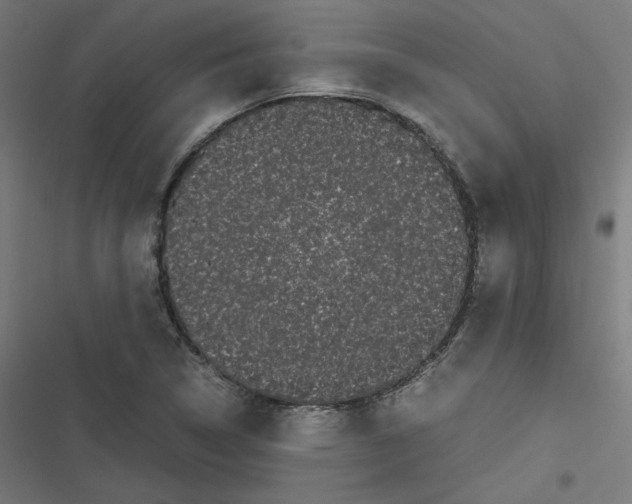 X0000116601314201001081141