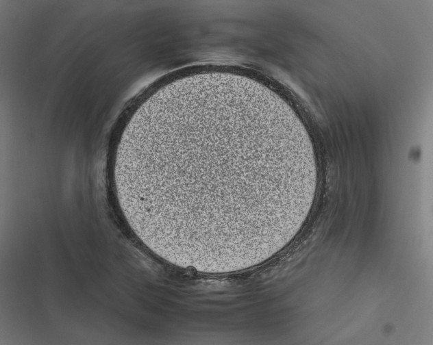 X0000116601315201001081141