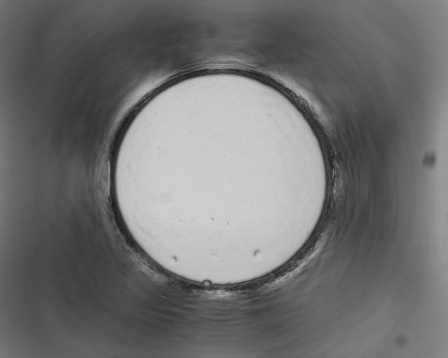 X0000116601317201001081141