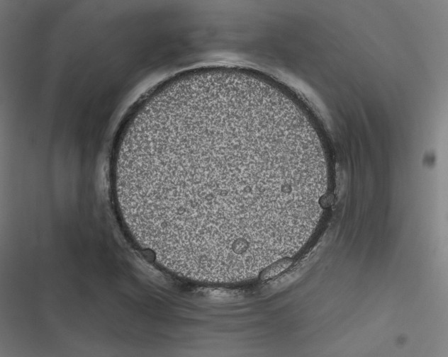 X0000116601318201001081141
