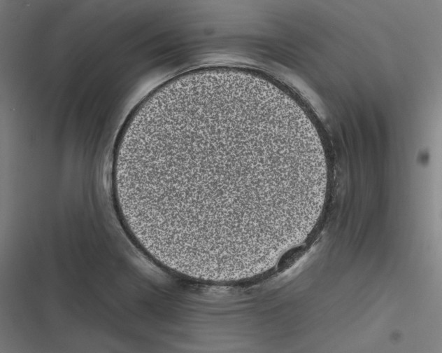X0000116601322201001081141