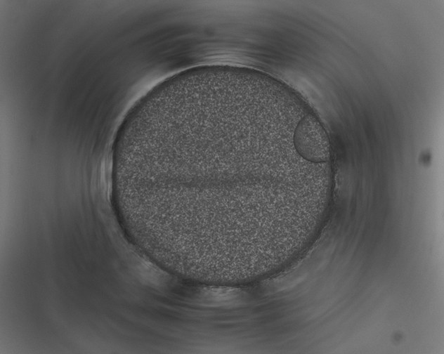 X0000116601323201001081141