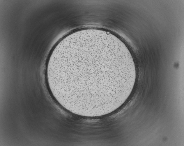 X0000116601325201001081141
