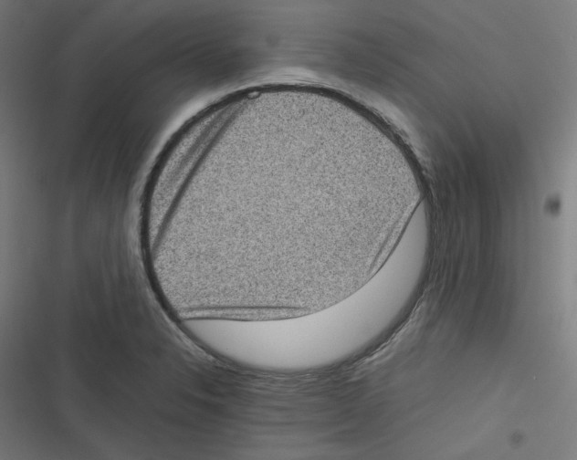 X0000116601326201001081141
